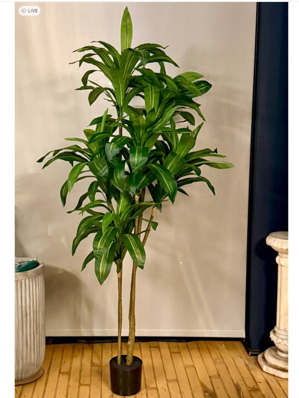 Oakred Artificial Dracaena 6 ft Tall Tree